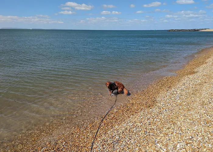 Seal Bay Resort - Pet Friendly 3 Bed 8 Birth Family Owned Caravan, Selsey