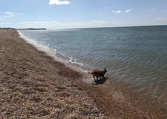 Seal Bay Resort - Pet Friendly 3 Bed 8 Birth Family Owned Caravan, Selsey