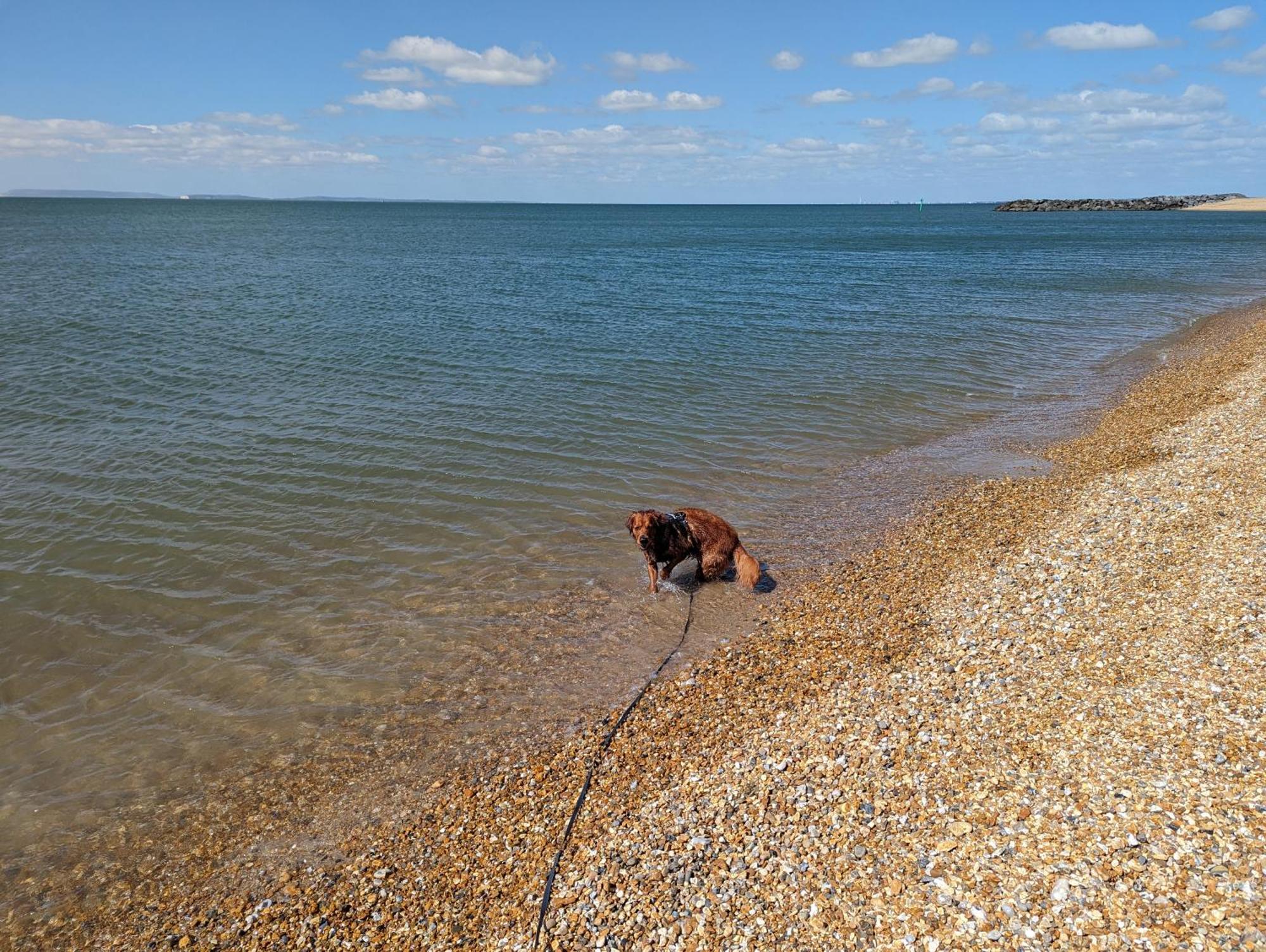 Seal Bay - Pet Friendly 3 Bed 8 Birth Family Owned Caravan, *